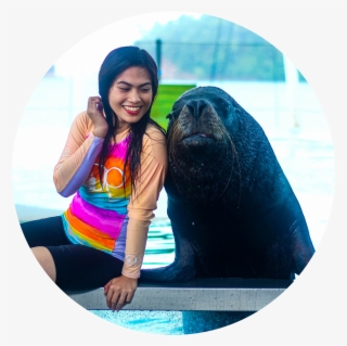 Sea Lion Swim Encounter - Vacation