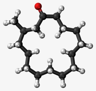 Muscone 3d Ball - Cbd Ball And Stick Model