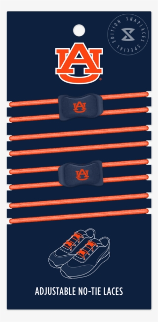 Auburn - Samford Hall