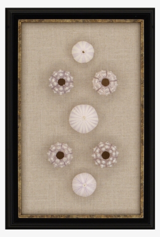 Sea Urchin Sputnik - Embroidery