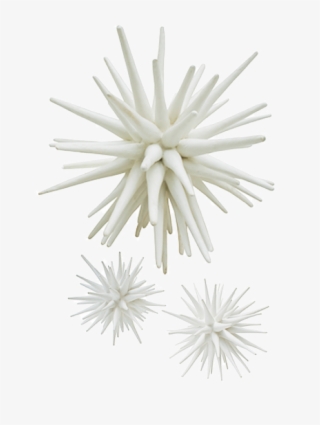 Sea Urchin Lg $1,000 Lg, - Paper