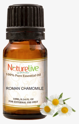 Roman Chamomile Essential Oil 10ml - Aromatherapy