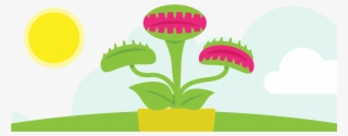 Venus Fly Trap Png - Illustration