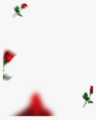 Insta Heart Motion Blur Png Valentine Day Editing Background - Garden Roses