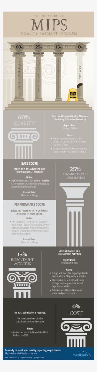 Pillars Of Mips Quality Payment Program Infographic - Column