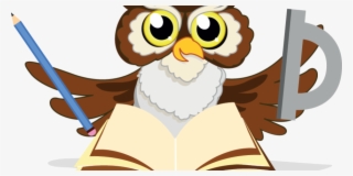 Description - School Owl Vector