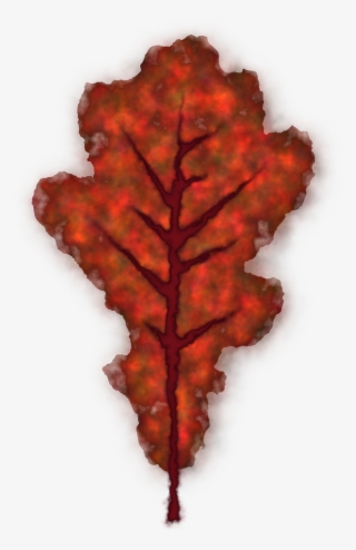 Leaf Autumn Fall - Smooth Sumac