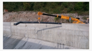 Baner Sangam Shpp - Tree