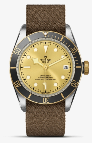 41 Mm Steel Case Fabric Strap - Tudor Black Bay S&g Champagne Dial