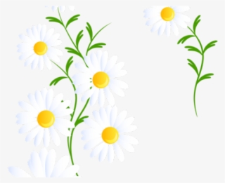 Daisy Clipart Margarita Flower - Portable Network Graphics