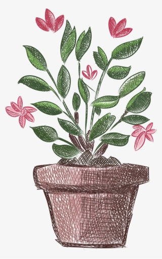 Plantas Pintadas A Mano Flores Frescas En Maceta Png - Plants