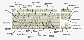 Computer Keyboard Key Names - Qwerty Keyboard - 780x400 PNG Download ...