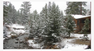 Cottage Exterior At The Evergreens On Fall River - Snow
