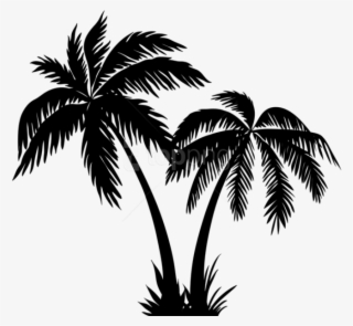 Free Png Palms Silhouette Png - Coconut Tree Clipart Black And White