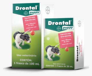 Drontal® Puppy - Remedio De Verme Para Cachorro Filhote Preço