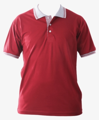 Camiseta Em Malha Piquet Inglês Gola Polo - Polo Shirt