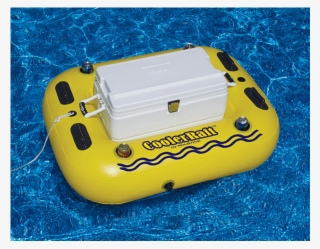 Cooler
