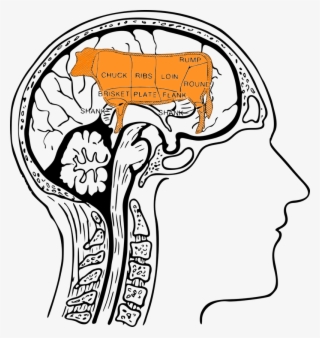 Protein And The Brain - Colouring Image Of Human Brain