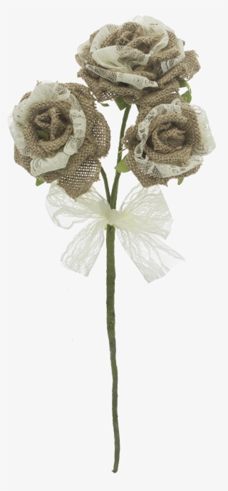 Fx49841 - Garden Roses