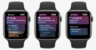 The Siri Face Can Also Host Two Dedicated Complications - Apple Watch 4 Spotify