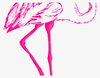 Flamingo Clipart Float - Transparent Background Flamingo Bird Png