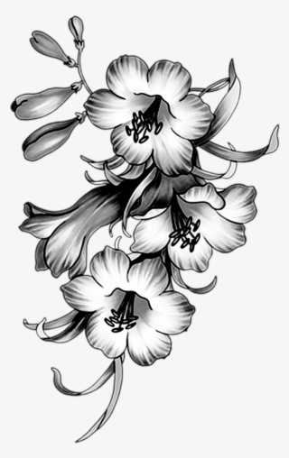 Фотки Sketch 2, Paper Craft, Black And White, Tatuajes, - Flower Borders And Frames