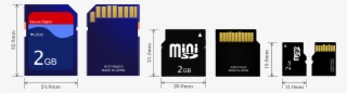 Sdhc Sdxc Microsd Card Sizes Comparison Image - Mini Sd Card