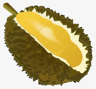 Durian Clipart Royalty Free - Durian