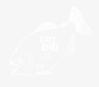 Lrlogo1white