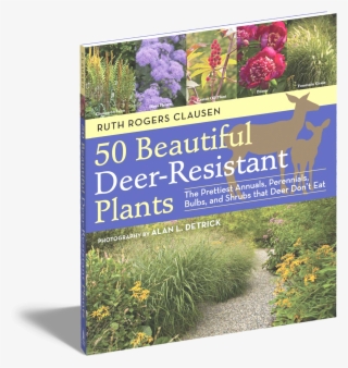 50 Beautiful Deer Resistant Plants Workman Publishing - Plants Deer Don T Like