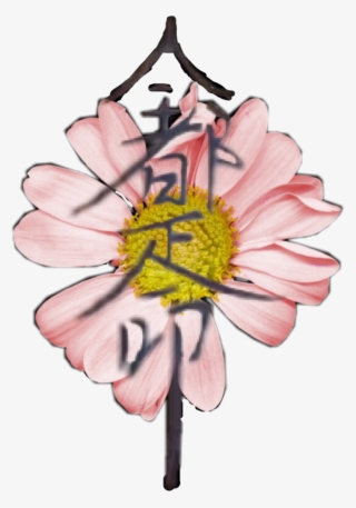 Japanese Sticker - Daisy