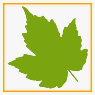 Julius Caesar Clipart Transparent Background - Hojas De Uva Dibujo