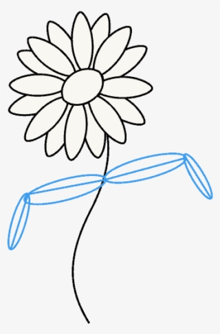 How To Draw Daisy Flower - Chamomile