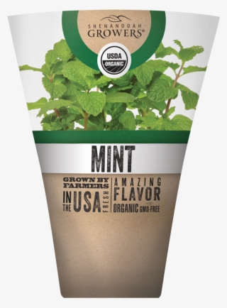 Mint - Organic Certification