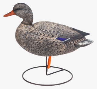 Oversized Field Mallard Active Hen Duck Hunting Decoy - Mallard