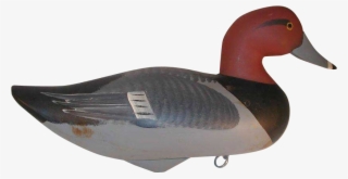 Contemporary Carved Wood Redhead Duck Decoy By Jim - Canvasback Duck