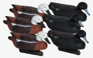 Birdlands 17" Premium Paradise Duck Floaters - Plush