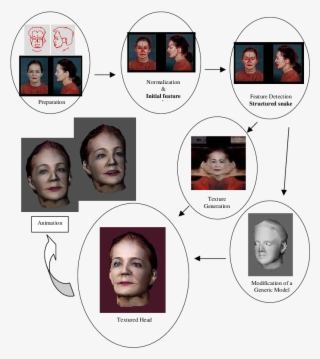 Overall Flow For 3d-head Reconstruction From Two Orthogonal - Collage