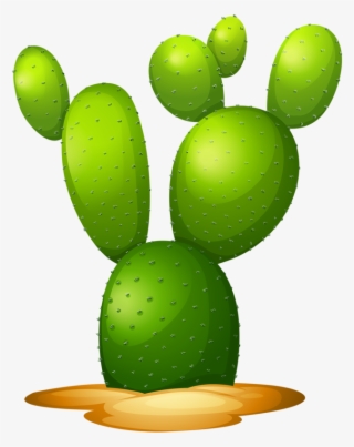 Фото, Автор Soloveika На Яндекс - C Is For Cactus