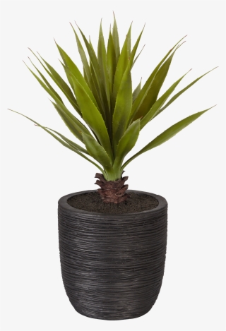 Plante Artificielle En Pot Noir H71cm-yucca - Pot De Plante Png
