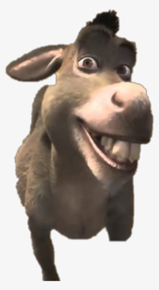 #freetoedit #shrek #donkey - Let's Do It Again Meme