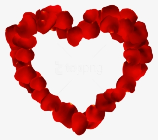 Free Png Rose Petals Png - Rose Petals Png Transparent