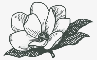 A Botanical Design Company - Orchid