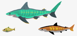 Image Description - Perch