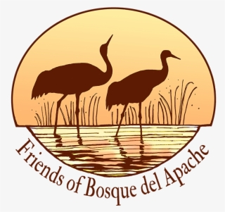 Festival Of The Cranes - Flightless Bird