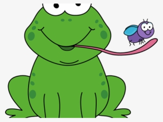 Frog Pictures For Kids - Frog Eating Fly