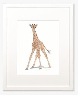 Baby Giraffe Wall Art - Giraffidae - 1000x1000 PNG Download - PNGkit