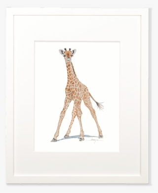 Baby Giraffe Wall Art - Giraffidae