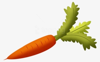 Free Png Images - Carrot Png Clipart