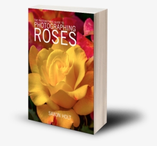 Photobotanic Guide To Photographing Roses Softcover - Hybrid Tea Rose